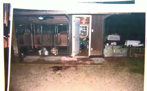 maggie murdaugh photos autopsy|Alex Murdaugh trial shown crime scene photos of。